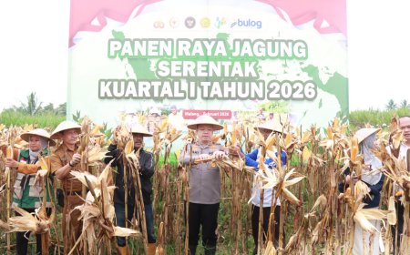 Panen Raya Jagung Polres Malang Berhasil Hasilkan 8 Ton