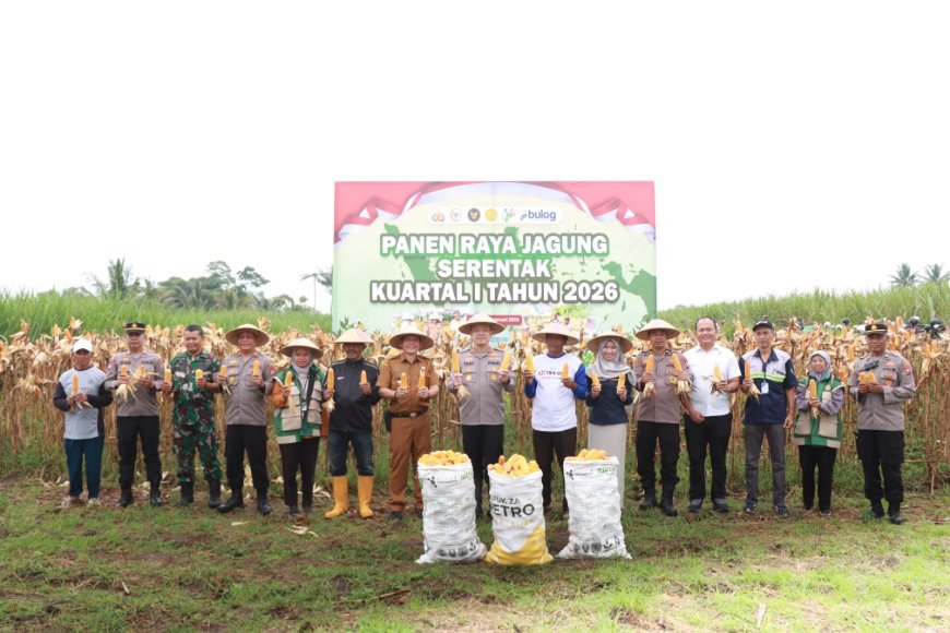 Dukung Ketahanan Pangan, Polres Malang Panen Raya Jagung 8 Ton