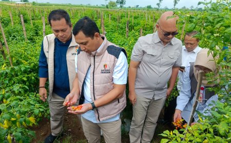 Satgas Pangan Nilai Pasokan dan Harga Pangan Stabil