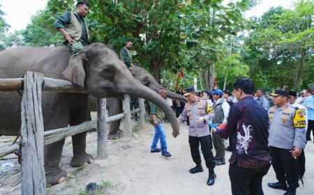 Kapolri dan Titiek Soeharto Pastikan Konservasi Satwa di Tesso Nilo