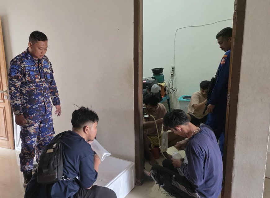 Ditpolair Korpolairud Bongkar Aksi Ilegal Penyelundupan Lobster